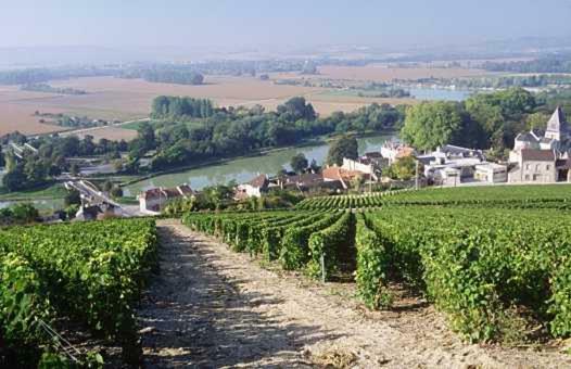 Le Clos Corbier Mareuil-sur-Ay Екстериор снимка